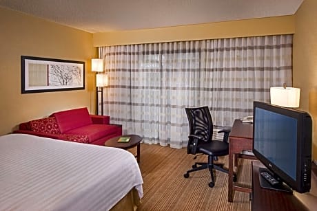 Room, 1 King Bed with Sofa bed (1 King Bed and 1 Double Sofa Bed)