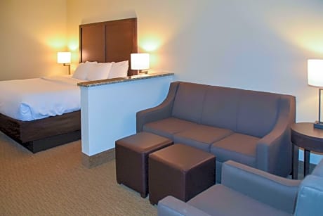1 King Bed, Suite, Nonsmoking, Upgrade