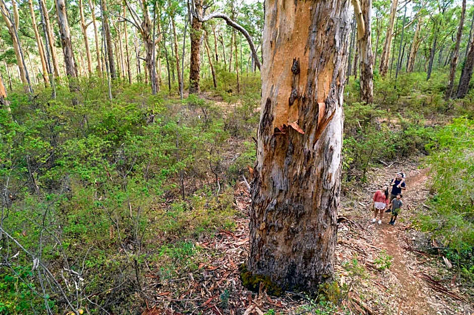 RAC Margaret River Nature Park