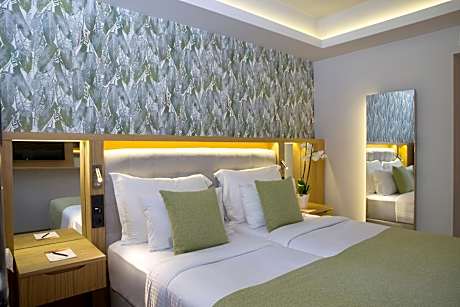 Premium Room Mountain View