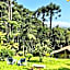 Chalé Recanto dos Pinheiros