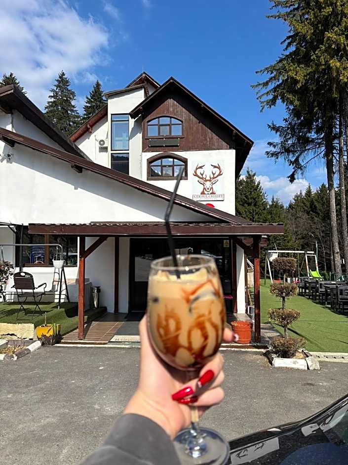Cerbul Chalét Accommodation & Wellness