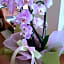 Albergo Natucci