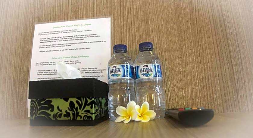 D'camel Hotel Lembongan