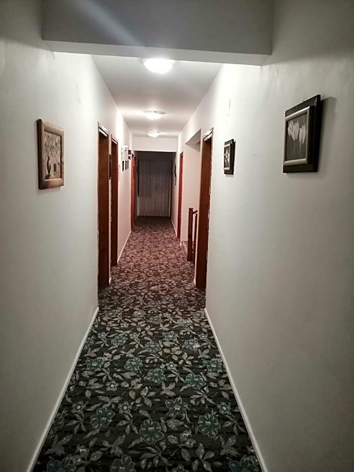 arya otel