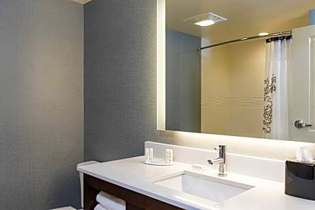 Studio, 1 King Bed with Sofa bed (1 King Bed and 1 Double Sofa Bed)