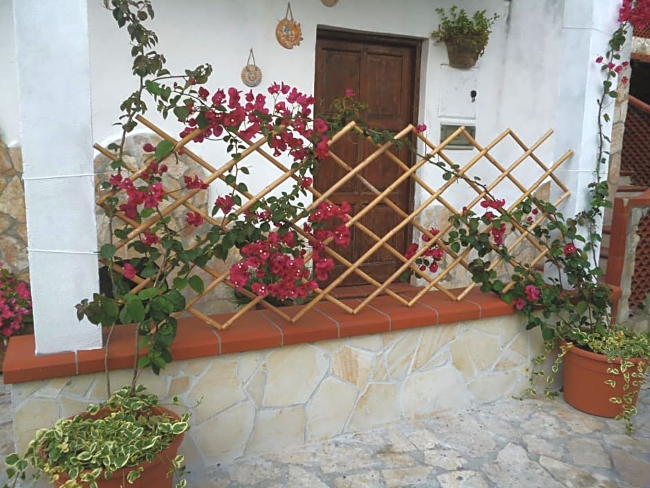 B&B La Taverna dei Ciucci