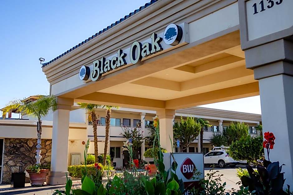 Best Western Plus Black Oak