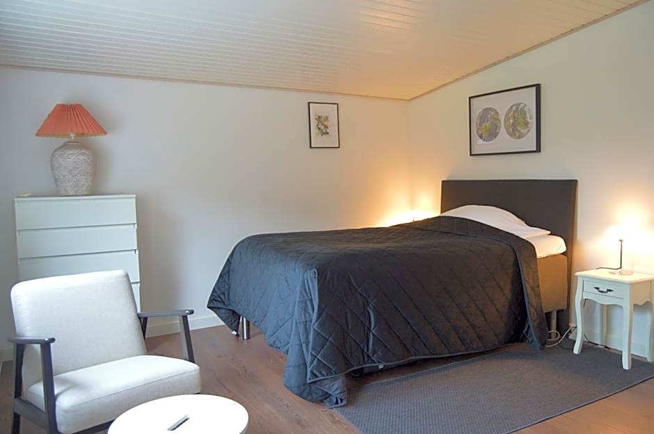 Serengeti & Stayover