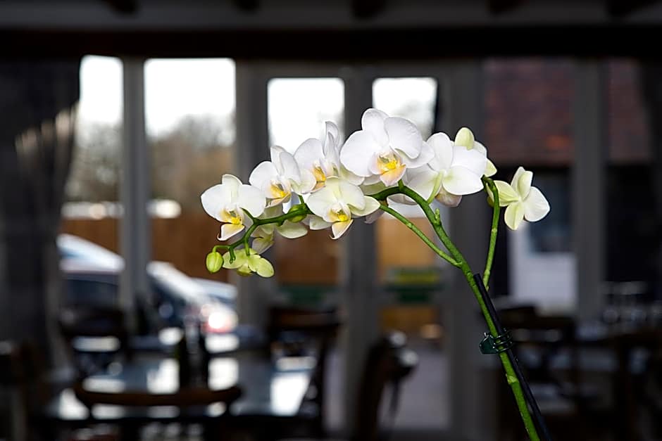 The Maple Manor Hotel