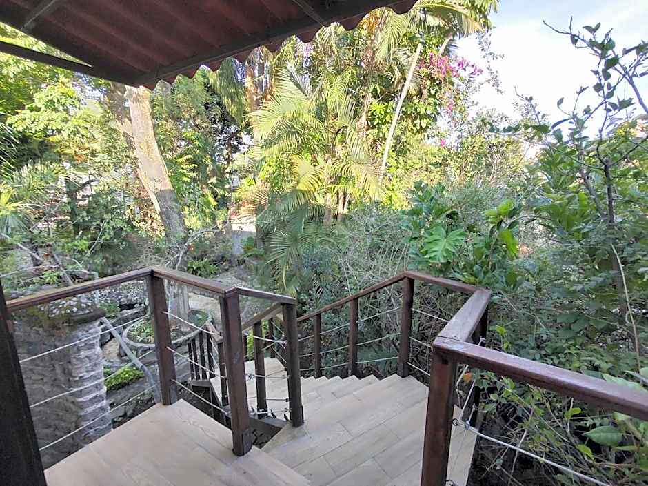 La Joyita Cuernavaca