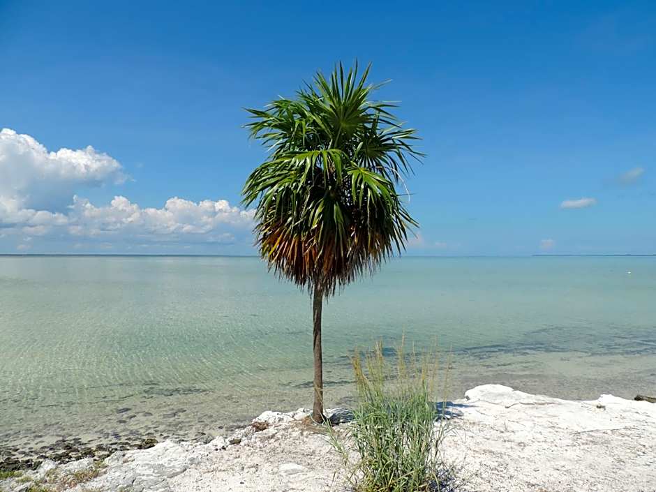 Ikarus Costa Mujeres Eco Lodge Sunset View