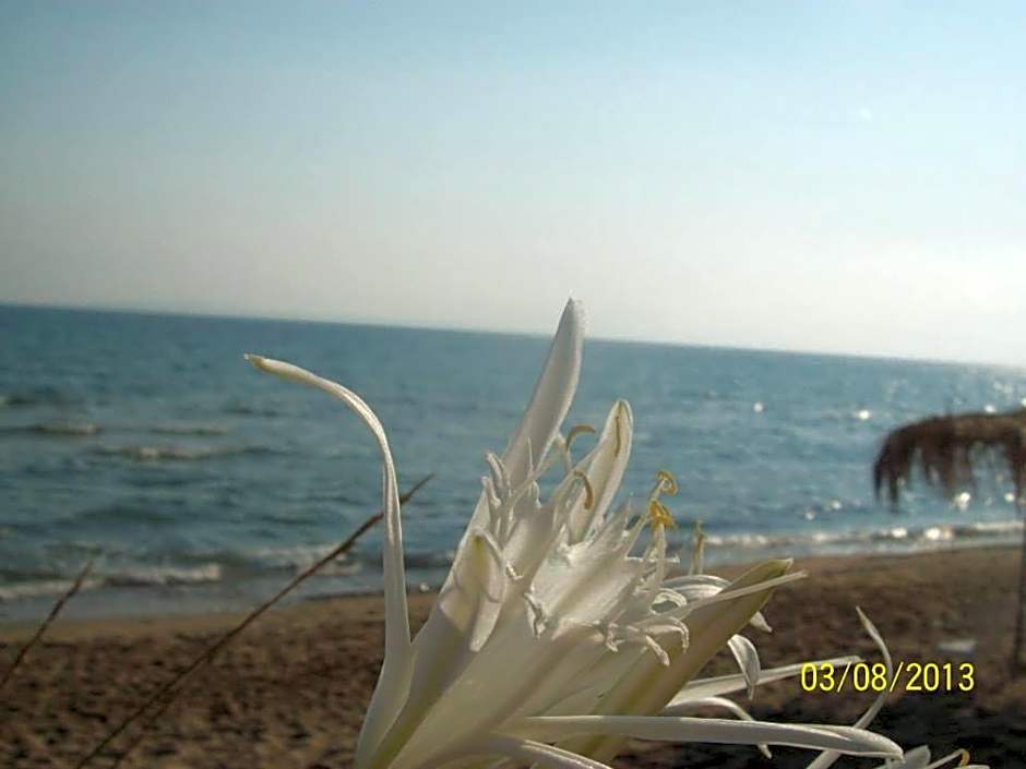 Stamiris Beach Hotel