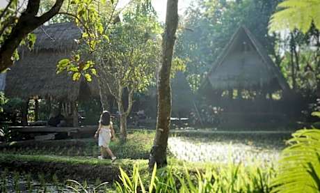 Sapulidi Cafe, Gallery & Resort