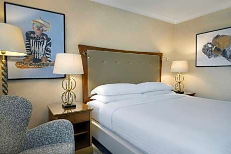 Superior Room, Guest room, 1 King