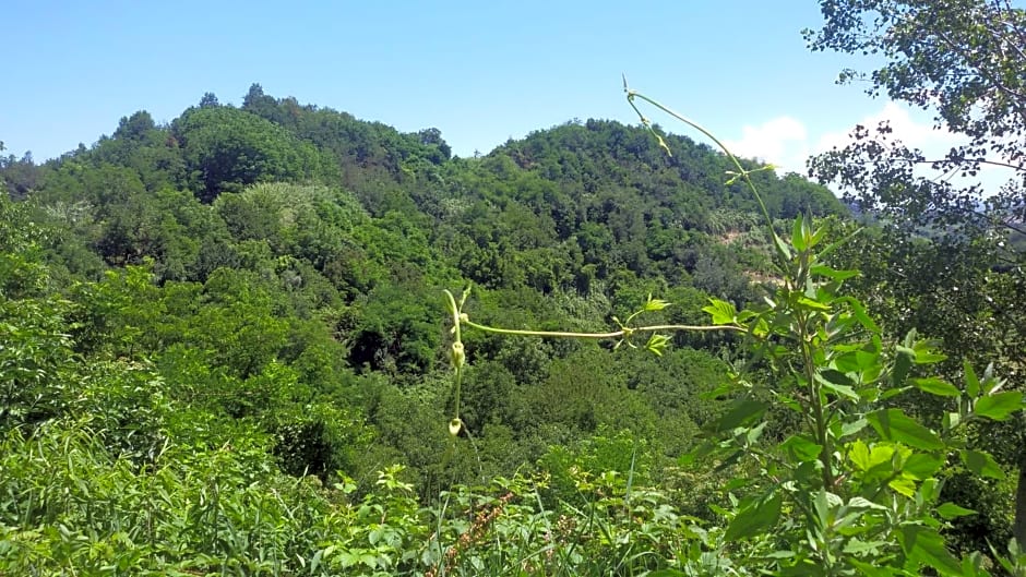 La Collina dei Passeri – Pocapaglia, NY