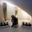 Hotel Miramar- Cap d'Antibes - La Garoupe plage
