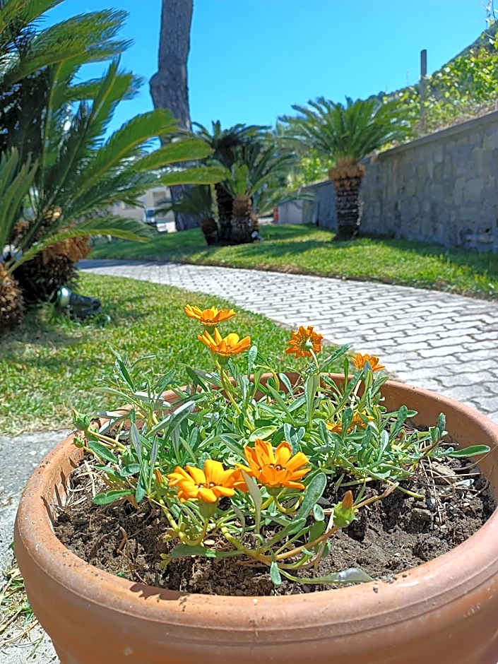 Villa Olivia Residence Ischia - nel Verde con Piscine e Vista Mare