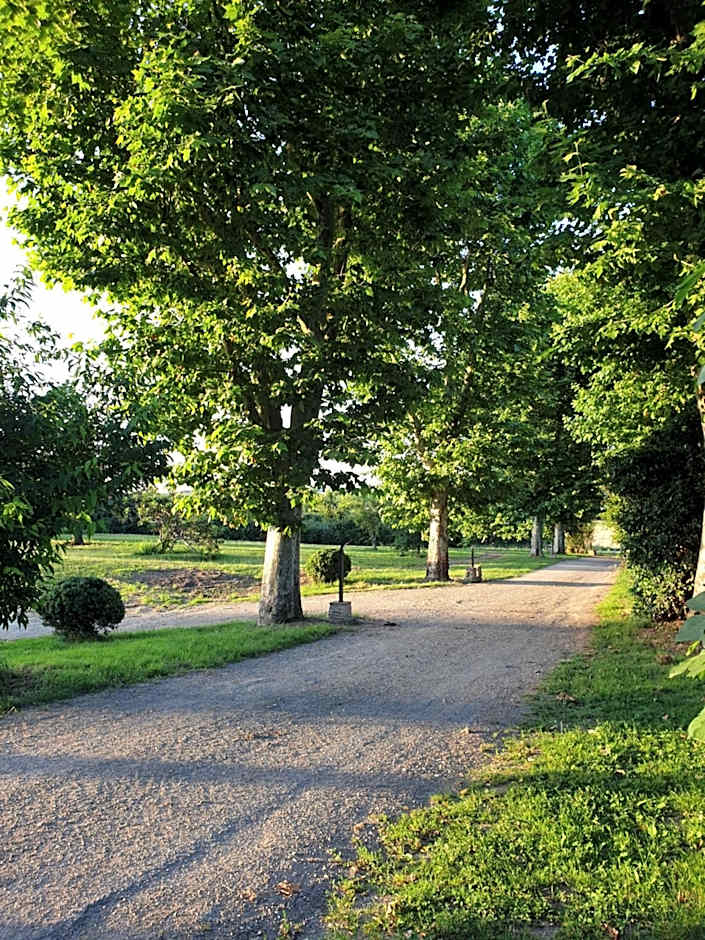 Domaine des Jammetous - Hotel and Yoga Retreat Center