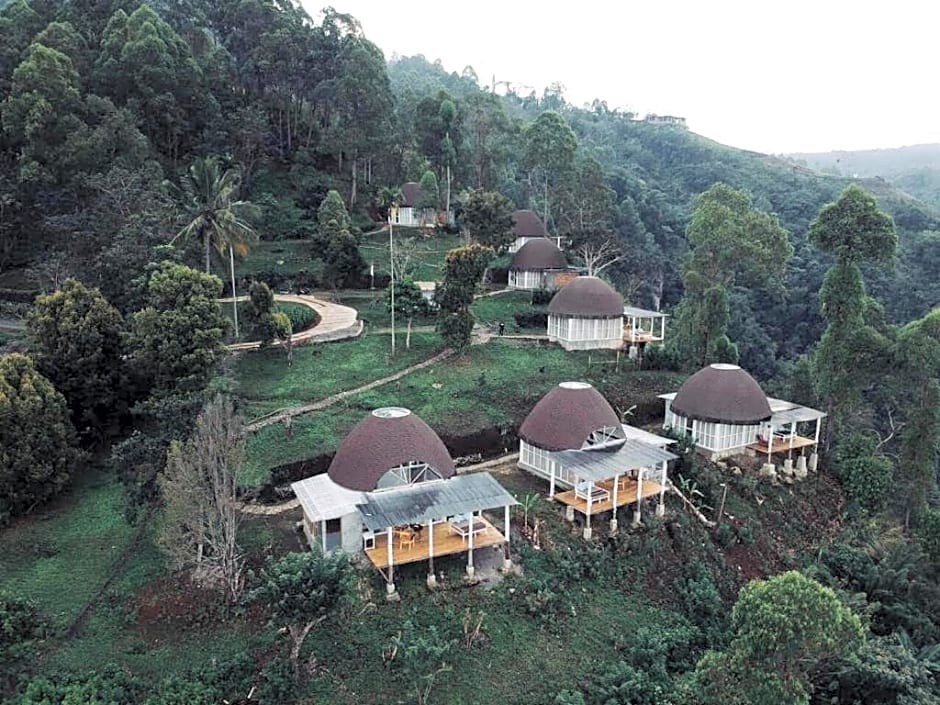 Manulalu Jungle