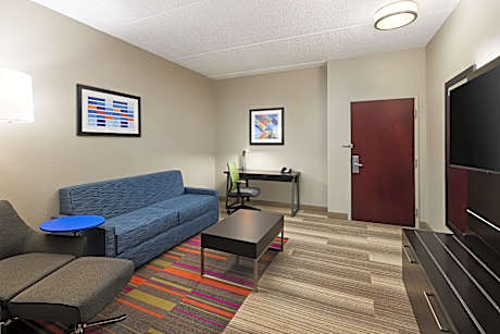 Suite King Bed Non Smoking