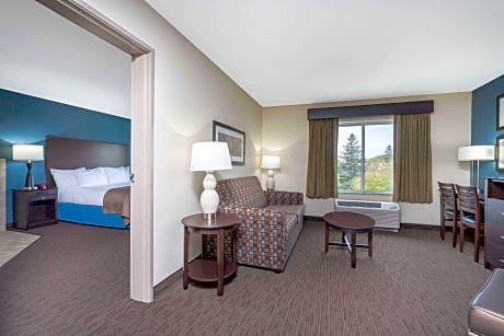 1 King Bed One Bedroom Deluxe Suite Non-Smoking