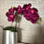 TH39 Trend Hotel