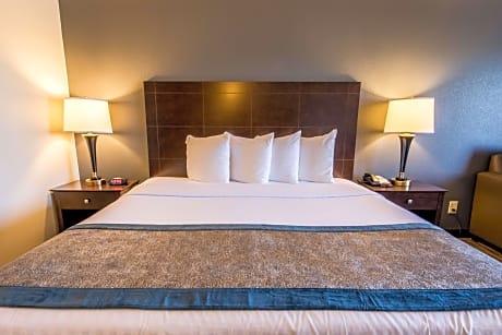Suite-1 King Bed, Non-Smoking, Wireless High-Speed Internet, Jacuzzi, Microwave And Refrigerator, Fu
