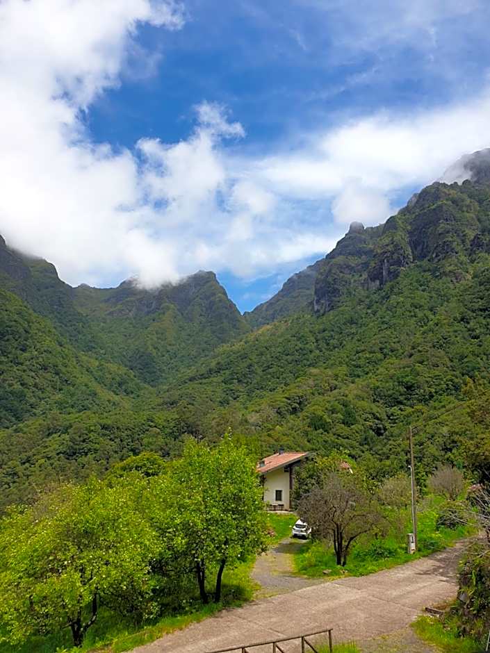 Casinhas da Laurissilva