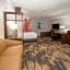 Fairfield Inn & Suites by Marriott Dallas Dfw Airport South/Irving