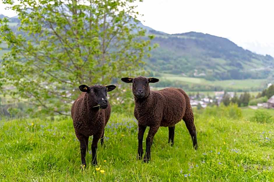 Panoramahotel Stocker