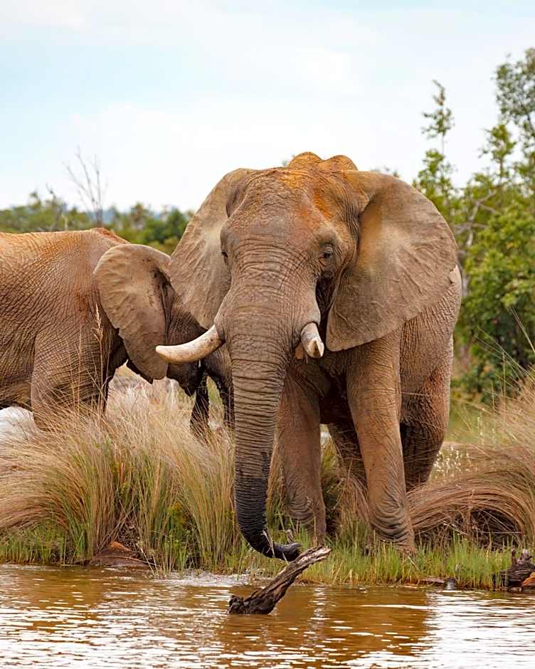 Shambala Private Game Reserve