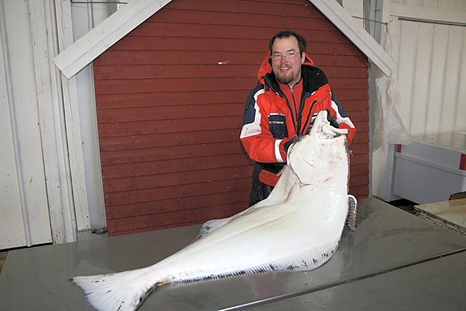 Offersøy Feriesenter