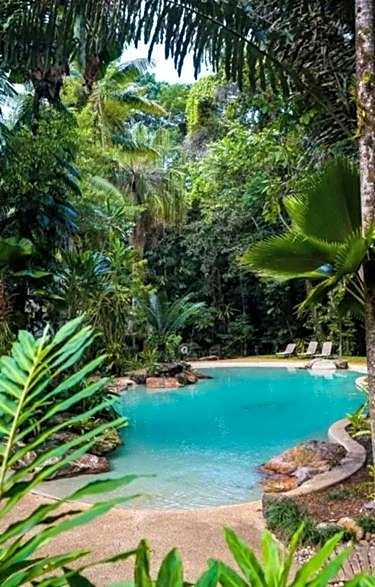 Ferntree Rainforest Lodge