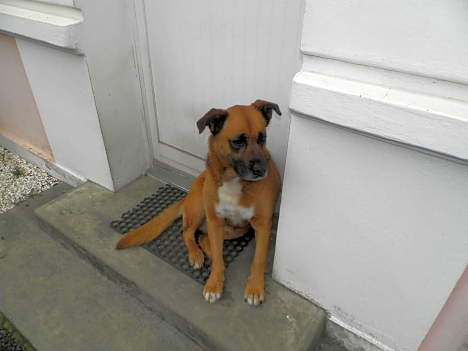 Chambres d'Hôtes Au Grillon Dort