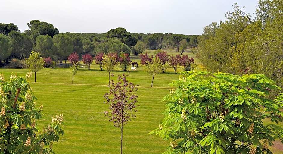 Posada Real del Pinar