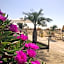 Hotel Nizza Frontemare Superior 3 Stelle