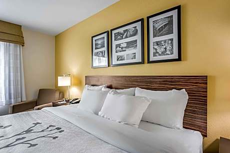 1 King Bed, Nonsmoking