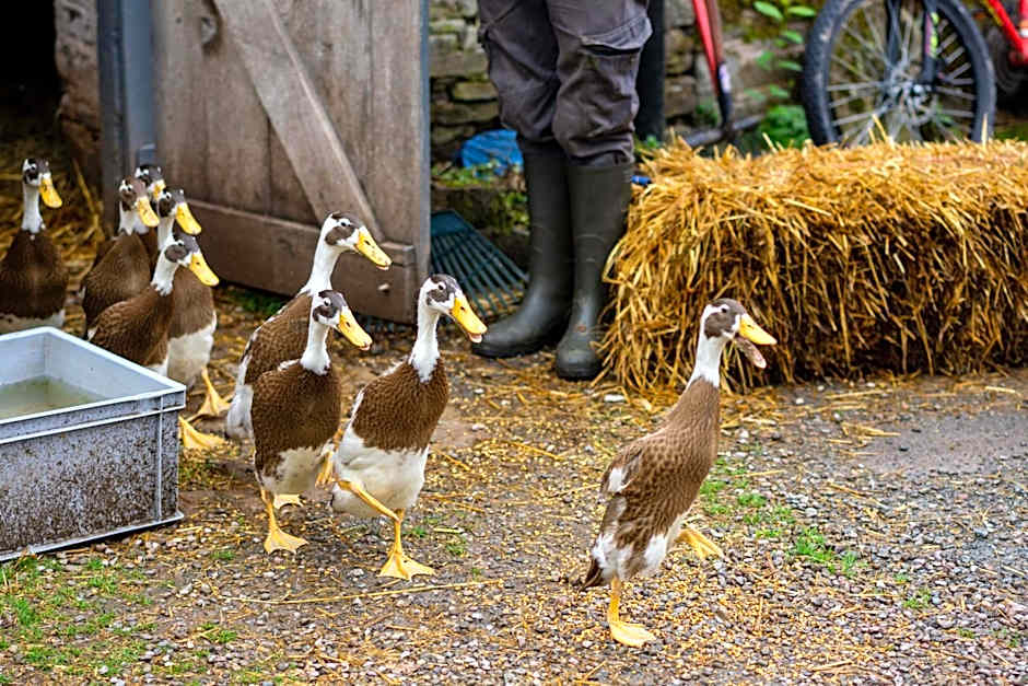 Drovers Rest Farm Stay