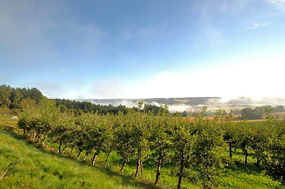 Hotel-Restaurant Teuschler-Mogg Bad Waltersdorf inklusiv Genusscard
