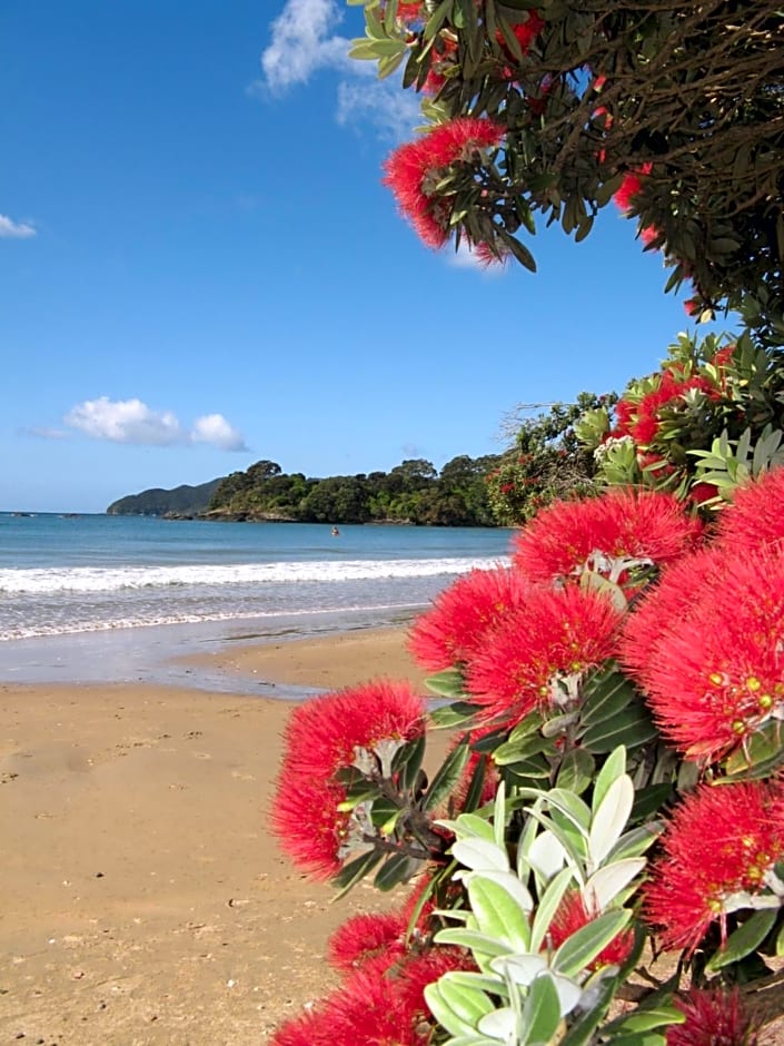 By the Bay Beachfront Apartments