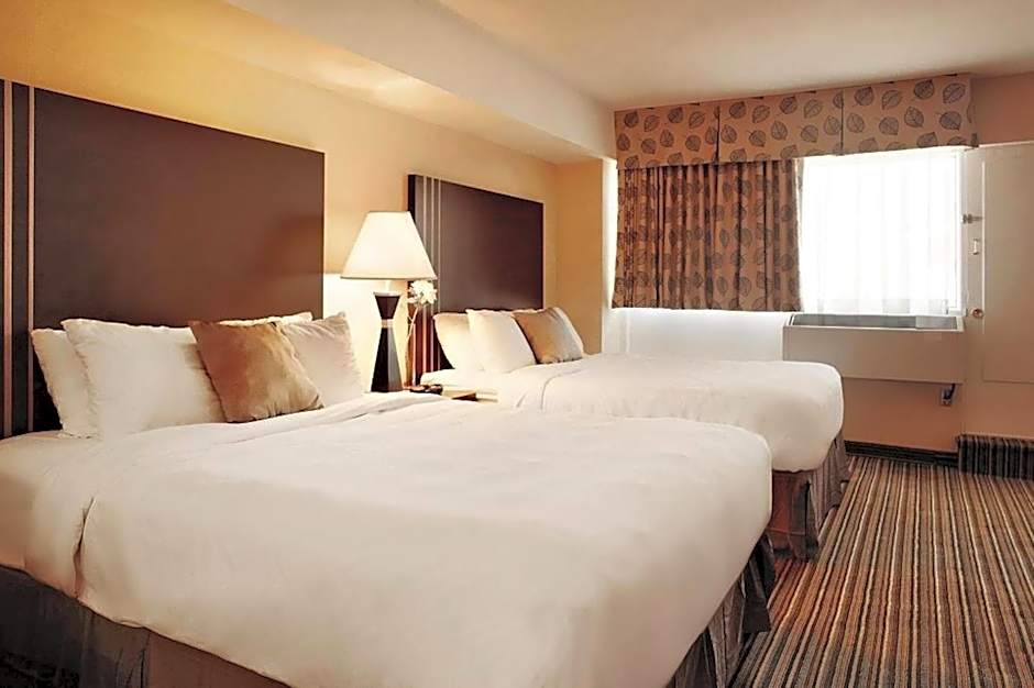 Comfort Suites Downtown