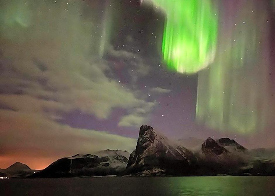 Senja Living