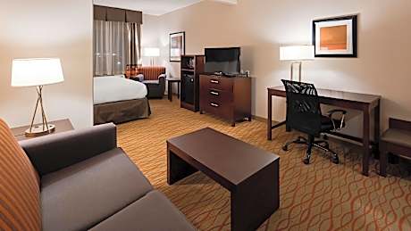 Accessibility - Suite King Bed, Roll-in Shower, Sofabed, Nonsmoking