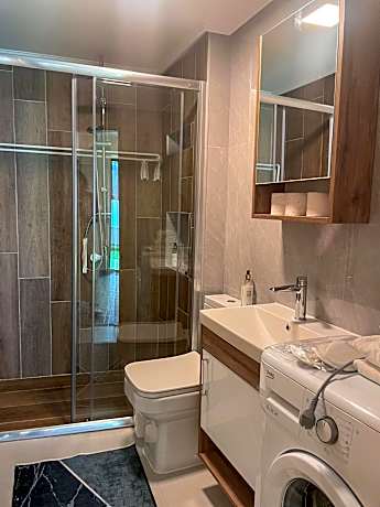 Deluxe One-Bedroom Apartment