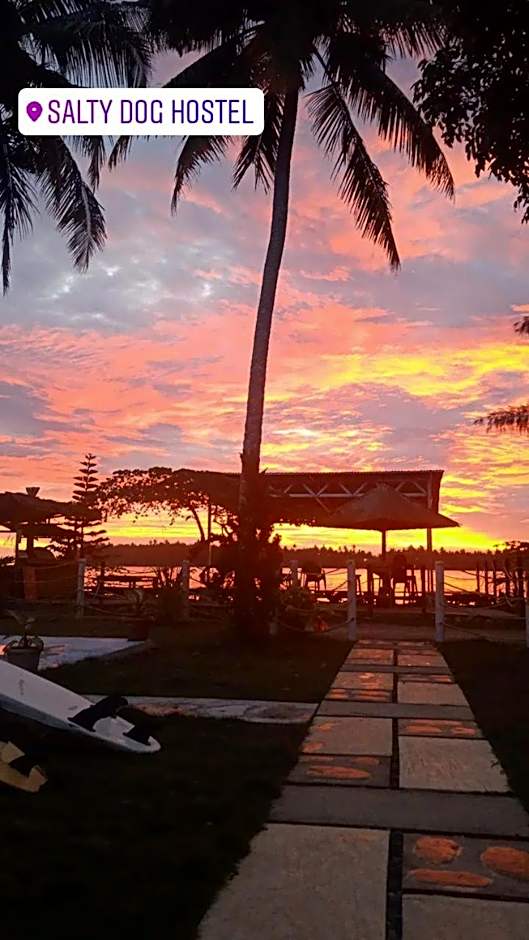Salty Dog Hostel