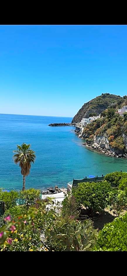 Hotel Casa Rosa Sea & Spa