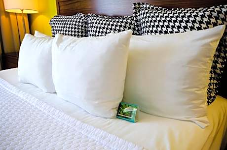 Standard Queen Room with Two Queen Beds - Communications and Mobility Accessible