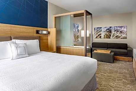 SpringHill Suites by Marriott Belmont Redwood Shores