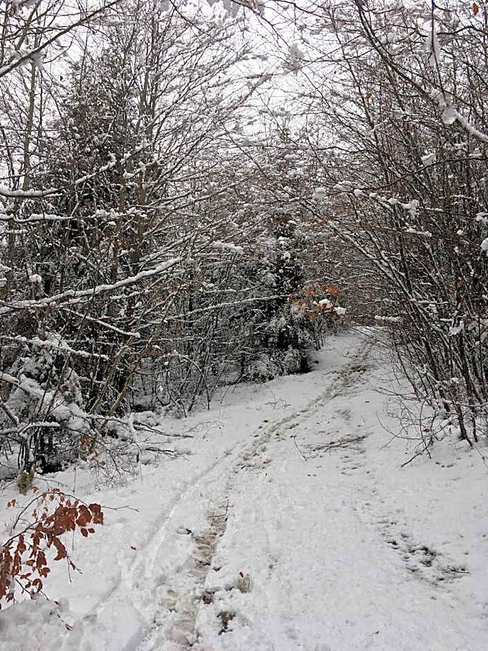 Maison des 5 Temps : Chambres d’hôtes de charme à Ferrette